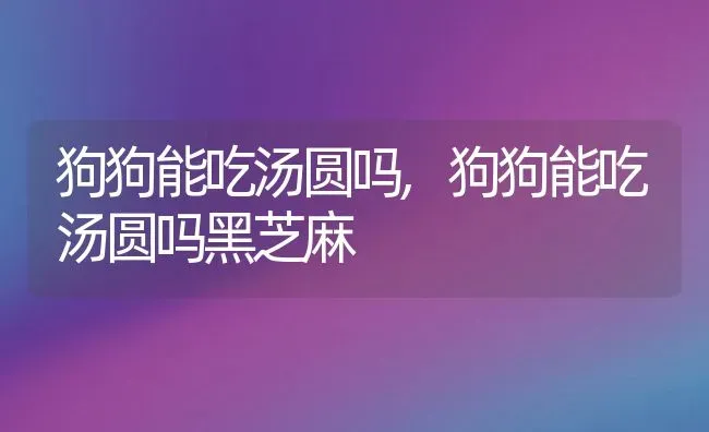 狗狗能吃汤圆吗,狗狗能吃汤圆吗黑芝麻 | 养殖科普