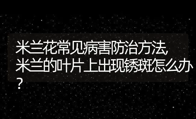 米兰花常见病害防治方法,米兰的叶片上出现锈斑怎么办？ | 养殖科普