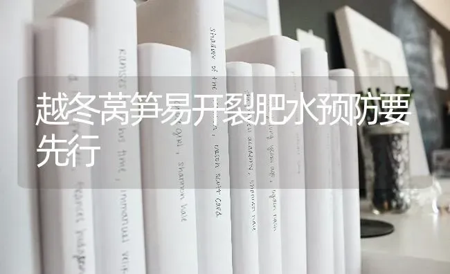越冬莴笋易开裂肥水预防要先行 | 养殖知识