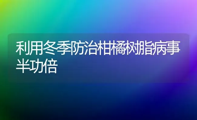 利用冬季防治柑橘树脂病事半功倍 | 养殖知识