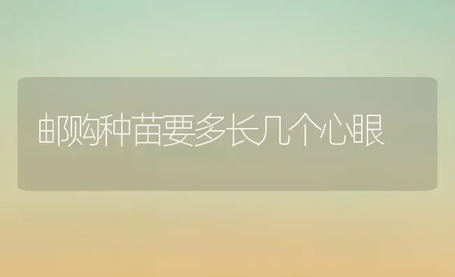 邮购种苗要多长几个心眼 | 养殖技术大全