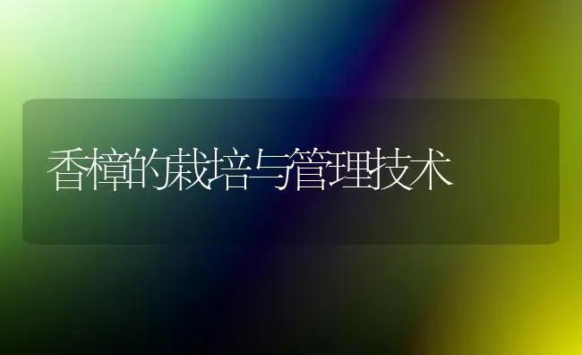 香樟的栽培与管理技术 | 养殖知识