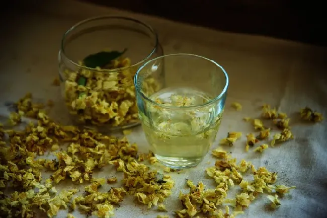 茉莉花茶哪个产地最好,茉莉花茶产地哪的茉莉花茶最好？