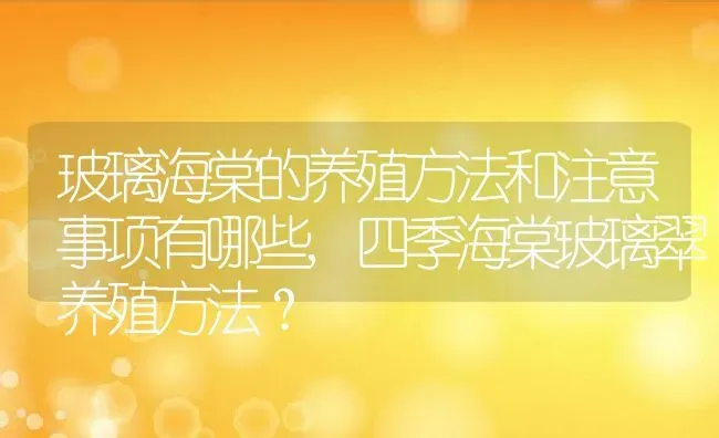 玻璃海棠的养殖方法和注意事项有哪些,四季海棠玻璃翠养殖方法？ | 养殖科普