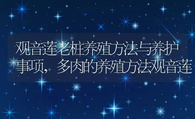 观音莲老桩养殖方法与养护事项,多肉的养殖方法观音莲 | 养殖学堂