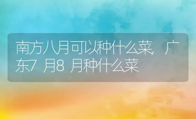 南方八月可以种什么菜,广东7月8月种什么菜 | 养殖学堂