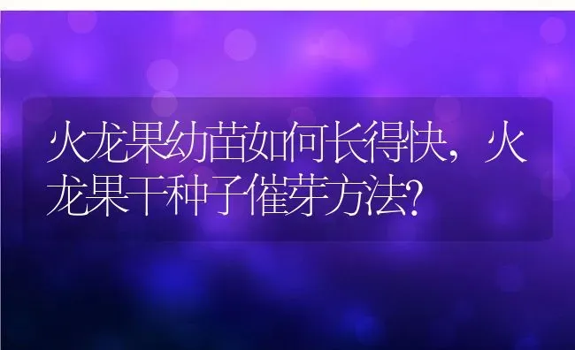 火龙果幼苗如何长得快,火龙果干种子催芽方法？ | 养殖科普