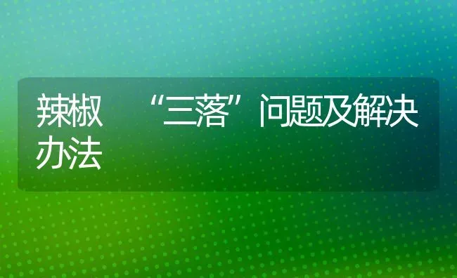 辣椒 “三落”问题及解决办法 | 养殖知识