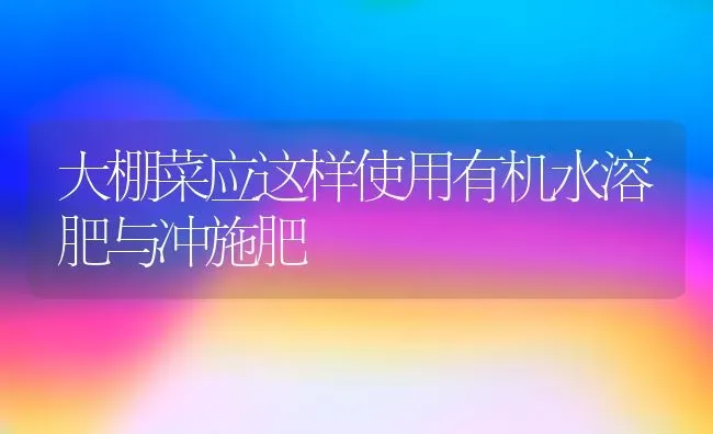 天气见晴后 重点病害优先防治 | 养殖技术大全