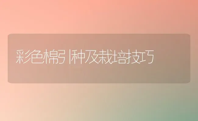 彩色棉引种及栽培技巧 | 养殖技术大全