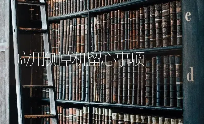 应用铡草机留心事项 | 养殖知识