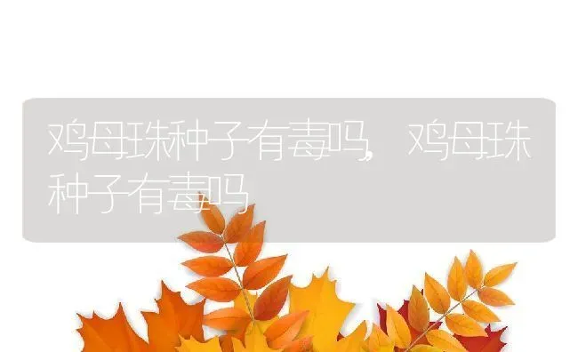 鸡母珠种子有毒吗,鸡母珠种子有毒吗 | 养殖科普