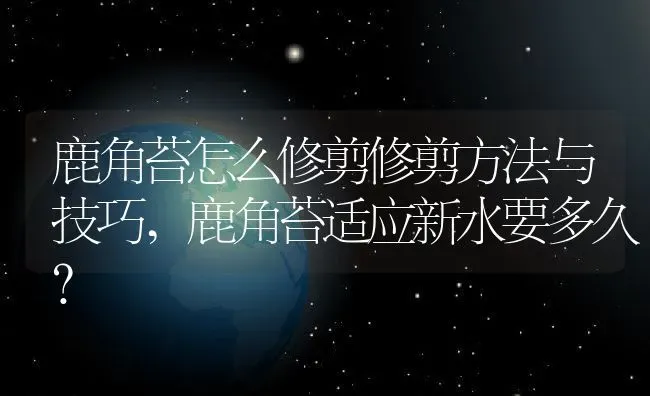 鹿角苔怎么修剪修剪方法与技巧,鹿角苔适应新水要多久？ | 养殖科普
