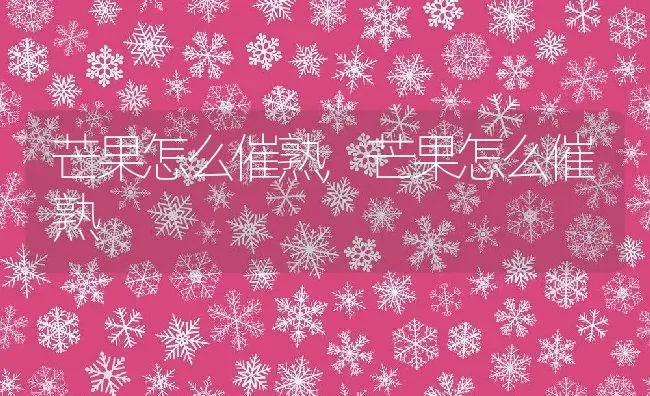 芒果怎么催熟,芒果怎么催熟 | 养殖科普