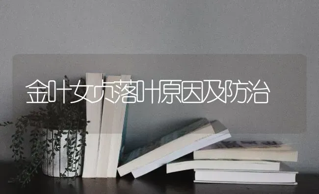 金叶女贞落叶原因及防治 | 养殖知识