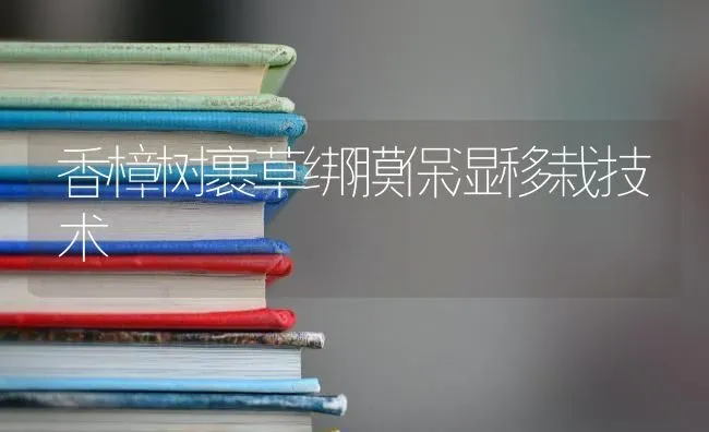 香樟树裹草绑膜保湿移栽技术 | 养殖知识