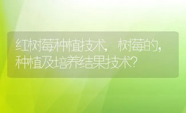 红树莓种植技术,树莓的，种植及培养结果技术？ | 养殖科普