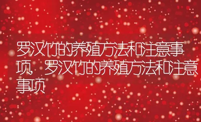 罗汉竹的养殖方法和注意事项,罗汉竹的养殖方法和注意事项 | 养殖科普