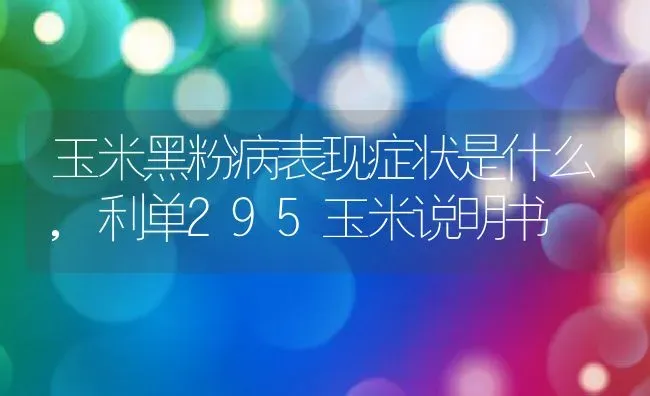 玉米黑粉病表现症状是什么,利单295玉米说明书 | 养殖学堂