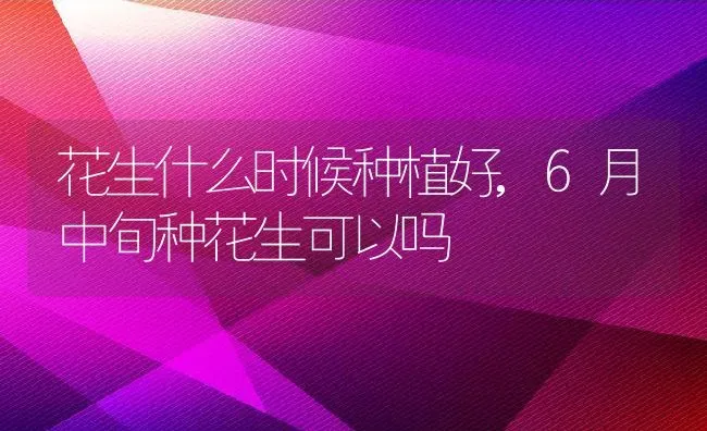 花生什么时候种植好,6月中旬种花生可以吗 | 养殖学堂