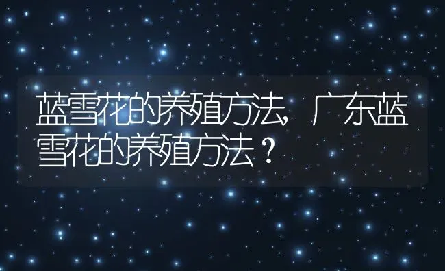 蓝雪花的养殖方法,广东蓝雪花的养殖方法？ | 养殖科普