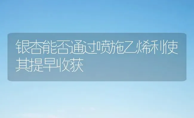 银杏能否通过喷施乙烯利使其提早收获 | 养殖知识