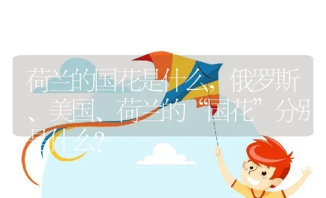 荷兰的国花是什么,俄罗斯、美国、荷兰的“国花”分别是什么？ | 养殖科普