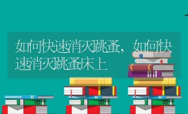 如何快速消灭跳蚤,如何快速消灭跳蚤床上 | 养殖资料