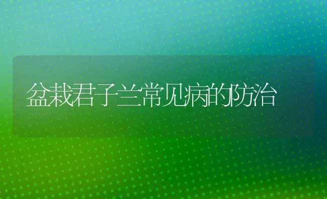 盆栽君子兰常见病的防治 | 养殖技术大全