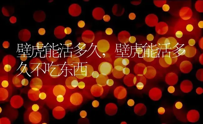 壁虎能活多久,壁虎能活多久不吃东西 | 养殖科普