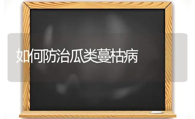 如何防治瓜类蔓枯病 | 养殖技术大全