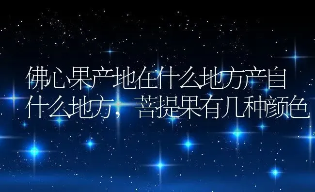 佛心果产地在什么地方产自什么地方,菩提果有几种颜色 | 养殖学堂