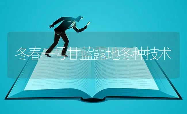 冬春一号甘蓝露地冬种技术 | 养殖技术大全