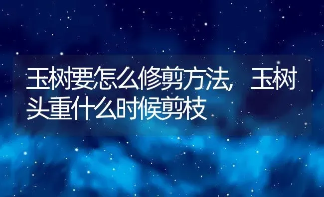 玉树要怎么修剪方法,玉树头重什么时候剪枝 | 养殖学堂