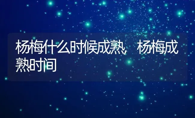 杨梅什么时候成熟,杨梅成熟时间 | 养殖学堂