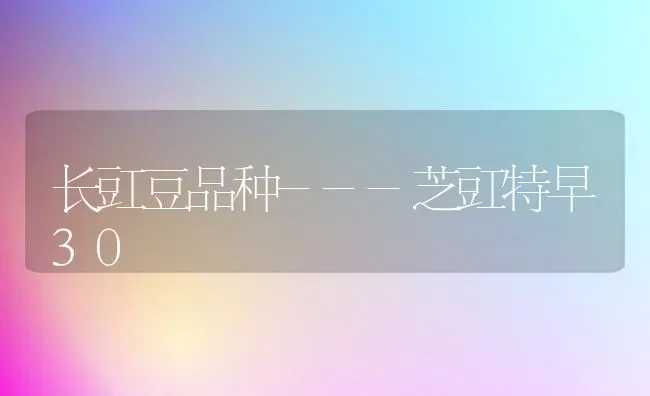 长豇豆品种---芝豇特早30 | 养殖技术大全