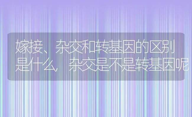 嫁接、杂交和转基因的区别是什么,杂交是不是转基因呢 | 养殖学堂