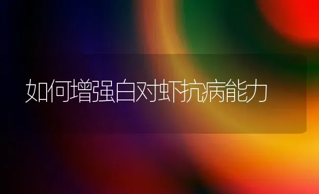 如何增强白对虾抗病能力 | 养殖技术大全