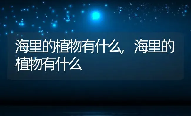 什么龟好养又好看,什么龟好养又好看又长得大 | 养殖科普