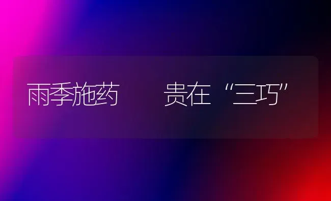 雨季施药  贵在“三巧” | 养殖知识