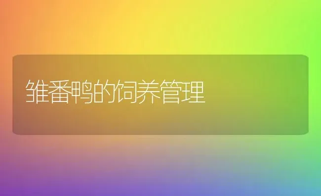 如何防治驴胃肠炎 | 养殖技术大全