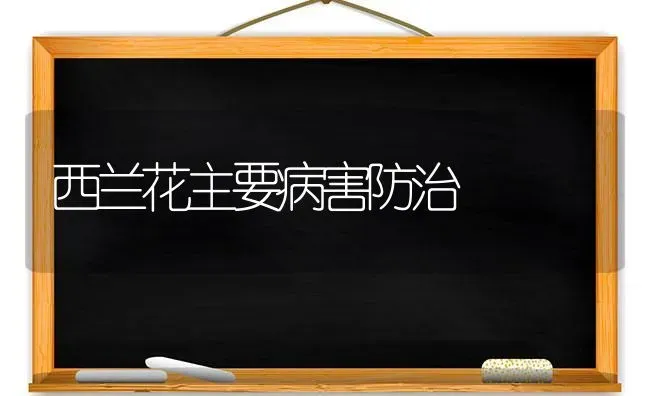 西兰花主要病害防治 | 养殖技术大全