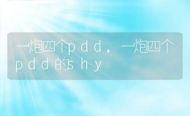 一炮四个pdd,一炮四个pdd的shy | 养殖科普