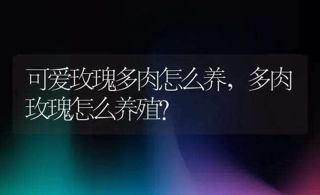 可爱玫瑰多肉怎么养,多肉玫瑰怎么养殖？ | 养殖科普