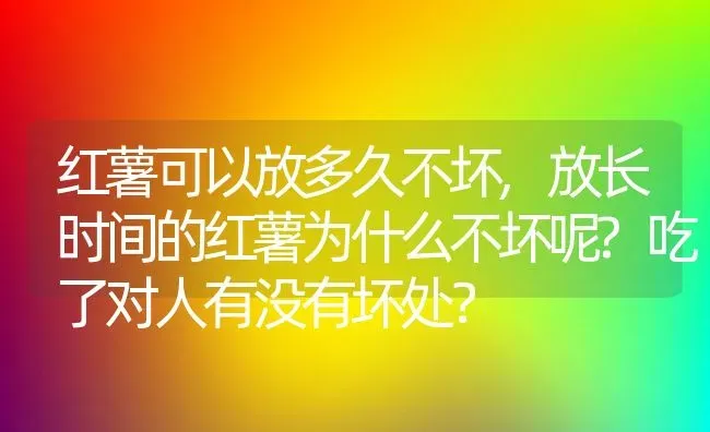 红薯可以放多久不坏,放长时间的红薯为什么不坏呢?吃了对人有没有坏处？ | 养殖科普