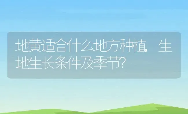地黄适合什么地方种植,生地生长条件及季节？ | 养殖科普