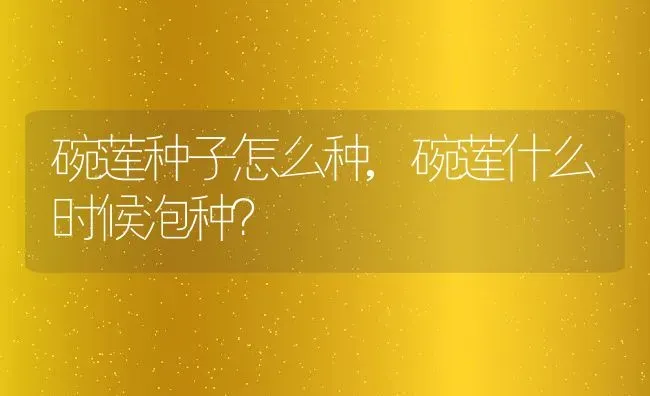 碗莲种子怎么种,碗莲什么时候泡种？ | 养殖科普