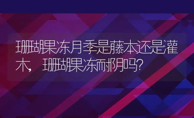 珊瑚果冻月季是藤本还是灌木,珊瑚果冻耐阴吗？ | 养殖科普