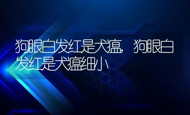 狗眼白发红是犬瘟,狗眼白发红是犬瘟细小 | 养殖科普