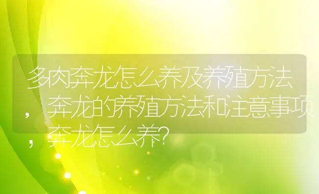 多肉奔龙怎么养及养殖方法,奔龙的养殖方法和注意事项，奔龙怎么养？ | 养殖科普